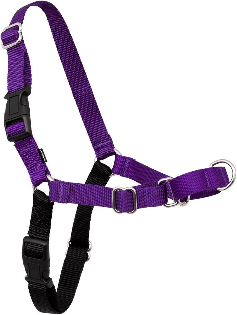 PetSafe Easy Walk No-Pull Dog Harness - Ultimate Harness to Help Stop Pulling - Pull-Free Walks - Take Control & Teach Better Leash Manners - Patented Martingale Loop Design - Deep Purple, Large