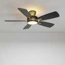 TALOYA Ceiling Fans with Lights and Remote, 52 inch Low Profile Ceiling Fan with Nightlight, Flush Mount, Reversible, 3CCT, Dimmable Black Modern Ceiling Fan for Bedroom, Living Room, Outdoor Patio