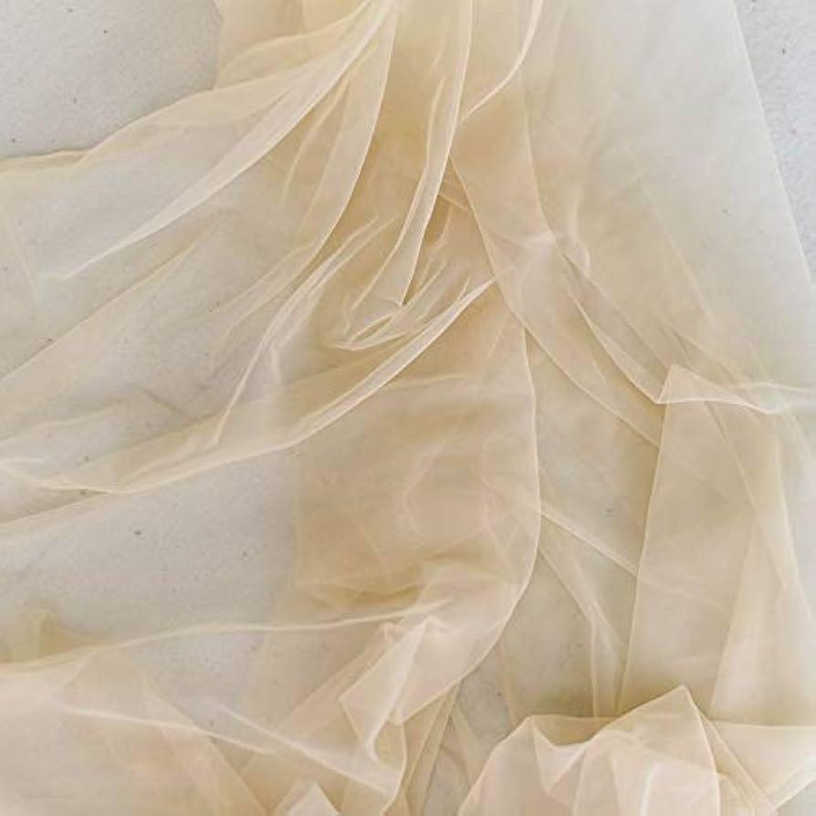 translucent light peach fabric with small fabric