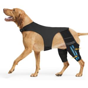 Dog Leg Braces for Back Leg, Adjustable Dog Knee Brace for Torn Acl Hind Leg with 4 Stabilizers, Hip Support to Reduce Pain, Ligament Injuries for  X-Large Dogs