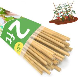 Bamboo Garden Stakes 2ft, 2 Feet Plant Stakes 30 Pack for Outdoor Indoor Plants, Support Tomato, Vegetables Beans, Flowers, Potted and More Climbing Plants