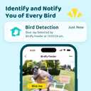NETVUE by Birdfy Smart Bird Feeder with 2K AI Camera Solar Powered, 3MP Wireless Wildbird Watching, Live Stream & Night Vision, Auto-Capture & Notify, Collection & Cloud Storage (AI by Subscription) (Yellow)