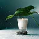 NEST New York Scented Classic Candle, Forest Rain, 8.1 oz