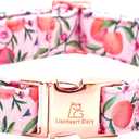 Lionheart Pink Dog Collar - Soft, Durable, Adjustable for Large Dogs (Large (Pack of 1, Peach)