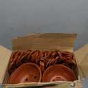 Maxcheck 60 Pcs Plastic Hanging Planter Flower Plant Pots with Hook Hanging Pot for Plants Basket Planter Holder Containers with Drainage Hole for Indoor Outdoor Garden Balcony Wall Decor, Brown