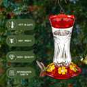 Jealoeur 2 Pack Hummingbird Feeder for Outdoors Hanging, 18 OZ Humming Birds Feeders with 6 Bee Guard Feeding Ports & Built-in Ant Moat, Easy to Clean, Durable Outdoor Garden Decor(Clear AA)