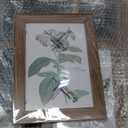 12 pack assorted gallery wall picture frame,rustic farmhouse wood picture frames multiple sizes including 4x6, 5x7, 8x10, 11x14, Ideal for living room hanging or tabletop display,Dark Brown