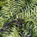 2Pcs Fake Hanging Ferns, Artificial Ferns Hanging Baskets, Fake Hanging Plants UV Resistant Outdoor Faux Plants for Front Porch Patio Garden Décor, No Assembly Required
