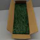 100 Pcs Artificial Christmas Norfolk Pine Picks, Bulk Faux Pine Stems Christmas Greenery Branches DIY Crafts Faux Pine Branches for Xmas Indoor Outdoor Home Decor (100)