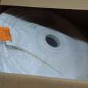 Ekena Millwork CM24DI Diane Ceiling Medallion, 24"OD x 3 5/8"ID x 1 1/4"P (Fits Canopies up to 6 1/4"), Factory Primed