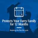 PETARMOR Home Carpet Powder for Fleas and Ticks, Protect Your Home From Fleas and Deodorizes Carpets, 16 Ounce