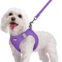 rabbitgoo Dog Harness Small Sized and Leash Set, Step in Soft Light Puppy Vest, Breathable Mesh Pet Harness, Reflective for Safe Outdoor Walking, Purple,M (Chest: 16 - 18.5")