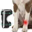 Dog Front Leg Brace with Removable Metal Springs- Adjustable Reflective Ankle Wrap for Dogs, Anti-Slip Reverse-Buckle Design Dog Ankle Brace for Arthritis, Sprains, Injury Recovery (Black, S)