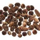 40 PCS Rustic Pine Cone Decorations - Large, Medium and Mini Sizes for Table, Tree and Home Decor