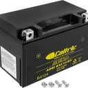 Caltric Agm Battery Compatible with Honda Vt600C Vt-600C Shadow Vlx 600 2004-2007