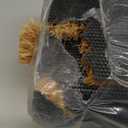 Front Door Mat Combo Set, Hello 100% Coco Coir Welcome Doormat + 28" x 43" Layered Buffalo Black and White Plaid Rug, Spring Thanksgiving Front Porch Entryway Decor Indoor Outdoor Floor Mats