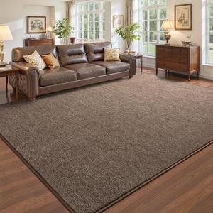 Pettop 5x7 Brown Area Rugs for Living Room Bedroom, Thickened Memory-Foam Throw Carpet, Modern Minimalist Super Soft Kids Boys Girls Rug, Non-Slip and Washable Carpets for Dorm Home Decor