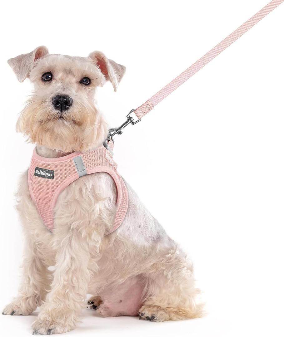 rabbitgoo Dog Harness Small Sized and Leash Set, Step in Soft Light Puppy Vest, Breathable Mesh Pet Harness, Reflective for Outdoor Safe Walking, Pink, XXL (Chest: 21.6 - 23.7")