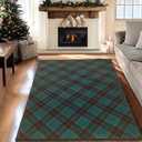 Christmas Area Rugs 4x6 Machine Washable High Traffic Xmas Door Mat Non-Slip Floor Carpet for Living Room Dining Room Bedroom Entryway & Hallway, Green Checkered