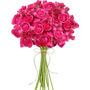 ASTRYAS Ranunculus Artificial Flower, 18Pcs Hot Pink Faux Silk Mini Ranunculus Flowers for DIY Bouquet, Bulk Fake Wedding Filler Flowers for Centerpiece Table Wedding Bridal Party Home Decor Cake