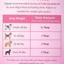 Pure Salmon Oil for Dogs – Omega 3 & 6 Supplement for Shiny Coat, Healthy Skin, Joint & Immune Support, All Breeds, 16 oz