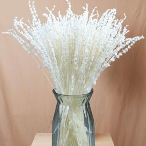 Iory White 180+Stems Dried Lavender Flowers Bundle-15''-17''Real Bleaching Cream White Lavender Bouquet for Home Wedding Boho Party Vase Decor, Crafts, Pack of 2 Silk Live Plants