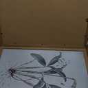 2pcs Framed Vintage Botanical Wall Art Canvas Prints Wildflower 16x24in
