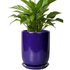 Ceramic Plant Pot - 8 Inch Planter for Indoor Plants Outdoor Flower Pot with Drainage Hole and Saucer Home Patio Office Decor Blue