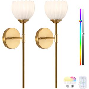 Vintage Battery Operated Wall Sconce Set of 2, Wall Lights with RGB Dimmable Bulbs and Remote,Rechargeable LED Wireless Wall Lamps for Living Room Hallway Bedroom