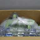 BISSELL Little Green Multi-Purpose Portable Carpet and Upholstery Cleaner, Car and Auto Detailer, with Exclusive Specialty Tools, Green, 1400B