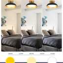 kudos Flush Mount Ceiling Light, 9.5inch LED Ceiling Light Fixture 2 Pack, Black and Gold Finish, 12W 600lm Modern Hanging Light Fixtures for Living Room, Bedroom, 5CCT Adjustable, KDCL01-BK-S-2PK