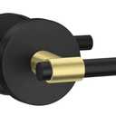 goldenwarm 1 Pack Black and Gold Passage Door Handle, Matte Black Closet Door Handle, Black and Gold Interior Lever Door Handles for Hallway, Closet