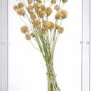 16x20 Acrylic Shadow Box, Assemble Display Case, DIY Tabletop/Wall Mount Display Frame, All Clear Memory Box for Dried Flowers/Kids Room/Birthday/Wedding(16x20x3, Assemble Frame)