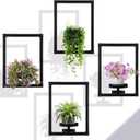 4 Pcs Wall Plant Holder Wall Planters for Indoor Plants Metal Window Planters Shelves Picture Frame for Indoor Outdoor Living Room Balcony Garden(Rectangle Style)