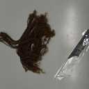 Brown Color Sister Locs Extensions Human Hair Microlocs Extensions | 100% Real Handmade Interlocking Curly Tips |0.2cm Thickness Permanent Soft Natural Locs for Women Kids（#4, 8 Inch-30 Strands)