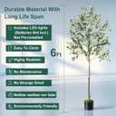 Olive Tree, 6FT Tall Faux Olive Tree with Lights Moss and Planter, Olive Trees Artificial Indoor with Realistic Wood Trunk and Lifelike Fruits, Fake Olive Tree for Home Office Living Room Decor