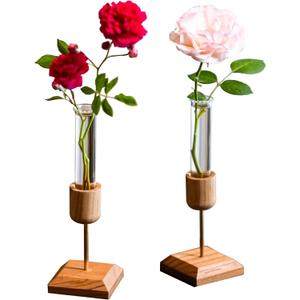 Clear Narrow Neck Test Tube Vase,Elegant Small Vase for Living Room & Home Decor All Seasons Plants Home décor Lover Gifts for Women