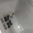 IRIS USA Dog Food Storage Container with Wheels, Airtight Lid, 2-Cup Scoop, Up to 30 Pounds Pet Food Storage, Built in Scoop Storage in Lid, Pet Food Bin, Portable, BPA Free, 2 Pack, Gray/Dark Gray