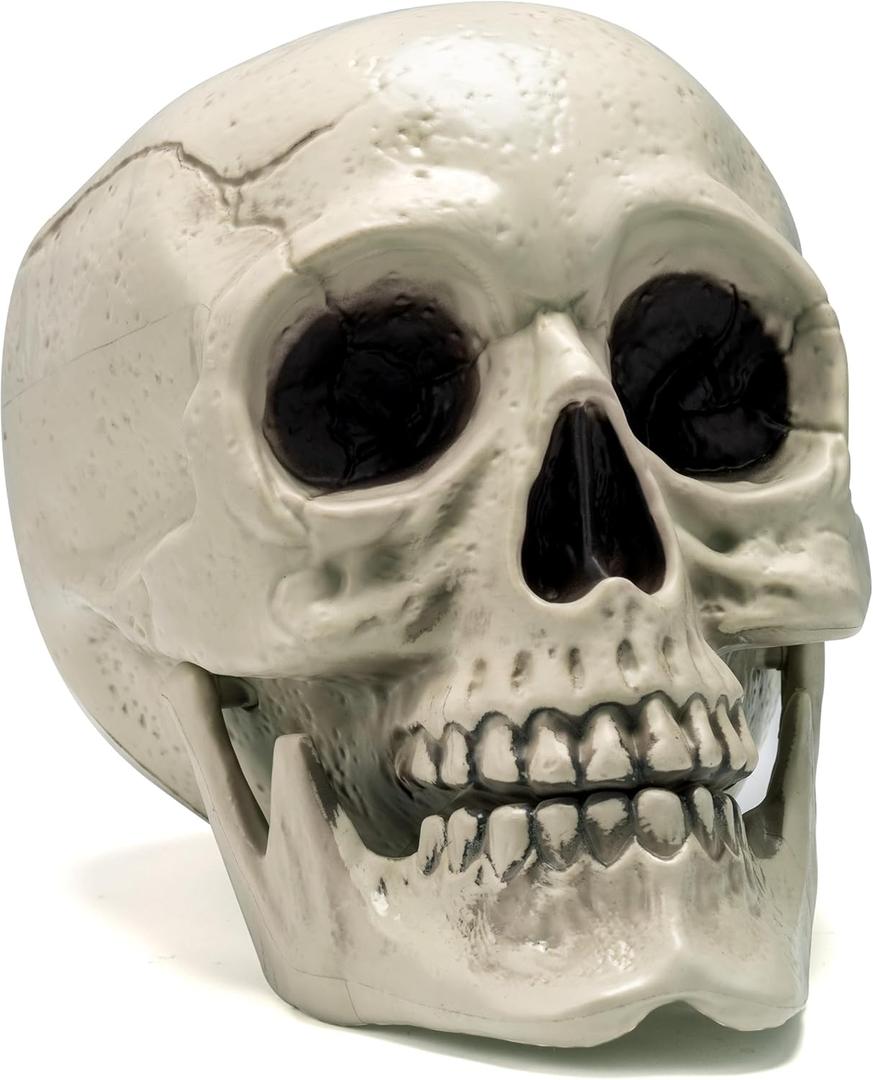 JOYIN Skeleton Halloween Decorations, Life Size Human Skull Model Indoor Outdoor Decorations for Trick-or-Treaters, Realistic Plastic Human Head Bone Tabletop Home Decor (6 x 5.5 x 7.5 Inches)