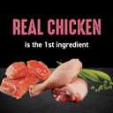 CRAVE Grain Free Indoor Adult High Protein Natural Dry Cat Food with Protein from Chicken & Salmon, 10 lb. Bag