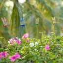 2 x 8PCs Fake Dragonfly Clips Outdoor Simulation Dragonfly Clip Natural Organic Concept Insert Pole Clip Gardening Decoration Insert Plaque Patio Garden Decoration