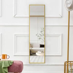 15.7 in. W x 59 in. H Rectangle Aluminium Alloy Full-length Framed
