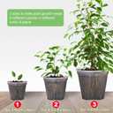 GREENPARA Transparent Plastic Planter 4/5 /6 inch Plant Nursery Pots with Drainage Hole Indoor Modern Decorative Containers for Plants, Herb, Flowers, and Cactus with 10pcs Plant Labels, 12pcs