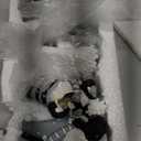 ShinyRelief 4 Pcs Winter Figurines Resin Gnome Tabletop Snowflake Antlers Sculpture Decoration Winter Black White Centerpiece for Home Dining Room Party Supplies Gifts Decor