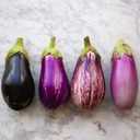 3 x Seeds Eggplant Long Mix- Heirloom Vegetable - GMO free