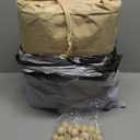 Carport Replacement Canopy, Replacement Top Cover for 10' x 20' Carport Frame, 180G PE Fabric Waterproof & UV Protected Tarp with Ball Bungees, Beige (Only Top Cover, Frame is not Included)