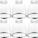 6 Pack Ceiling Fans Glass Shade Covers, Clear Glass Shade Replacements Globes Lampshades with Round Silver Border, Screw-Fixed Lamp shade for Light Fixtures Chandelier Sconces Vanity Lights
