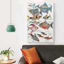 JHXNJDPOST Tropical Fish Poster Fishing Aquarium Educational Knowledge Canvas Wall Art Aesthetic Decorative Painting Living Room Restaurants, Pool Halls And Classroomstyle 16x24inch(40x60cm)