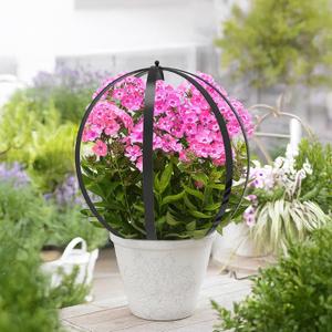 Metal Plant Circle Trellis for Climbing Plants, Round Garden Sculpture, Outdoor Potted Planter Trellis Patio Urn Dcor & Doorway Accent25.2"*21.2"-2Pack (25.2*21.2inch)