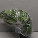 LOYWREE Artificial Scindapsus Aureus Fake Pothos Plants in Black Pots - Realistic Faux Indoor Greenery for Home, Office, Desk, Shelf, Living Room, Bedroom, Balcony, Patio & Garden Decor